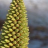 2008/10/02 thumbnail