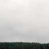 2008/03/22 thumbnail