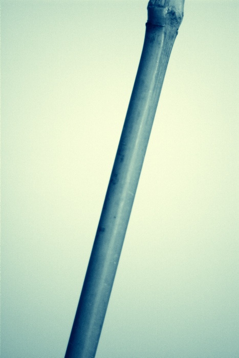 2009/09/16