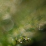 2009/09/01 thumbnail