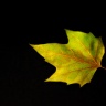 2009/10/12 thumbnail