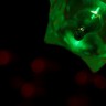 2010/01/13 thumbnail