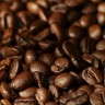 2010/03/06 thumbnail