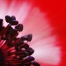2010/03/29 thumbnail