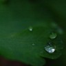 2010/03/30 thumbnail