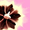 2010/04/10 thumbnail