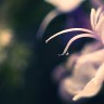 2010/04/13 thumbnail