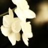 2010/04/15 thumbnail