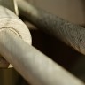 2010/04/17 thumbnail