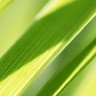 2010/04/22 thumbnail