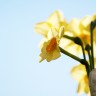2010/04/23 thumbnail