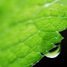 2010/04/24 thumbnail