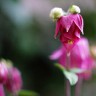 2010/05/03 thumbnail