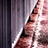2010/05/18 thumbnail