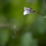 2010/06/13 thumbnail