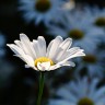 2010/06/23 thumbnail