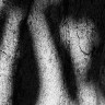 2010/07/03 thumbnail