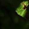2010/07/04 thumbnail