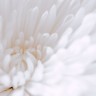 2010/08/07 thumbnail