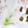 2010/08/10 thumbnail