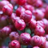 2010/11/07 thumbnail