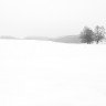 2011/01/01 thumbnail
