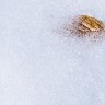 2011/01/02 thumbnail