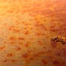 2011/02/06 thumbnail