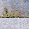 2011/04/02 thumbnail