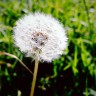 2011/04/09 thumbnail