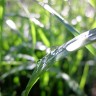 2011/05/06 thumbnail