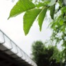 2011/06/21 thumbnail