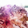 2011/07/05 thumbnail