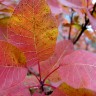 2011/10/29 thumbnail