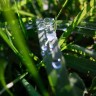2011/10/30 thumbnail