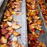 2011/11/06 thumbnail
